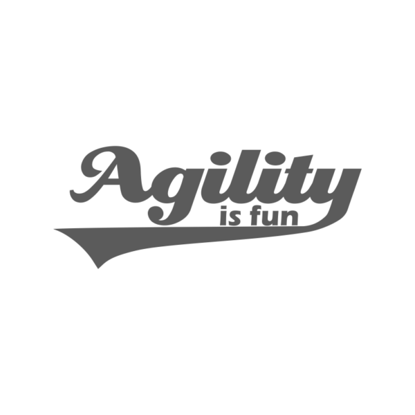 Agility is fun – Bild 2