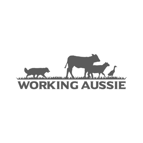 Working Aussie – Bild 2