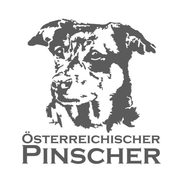 Österreichischer Pinscher
