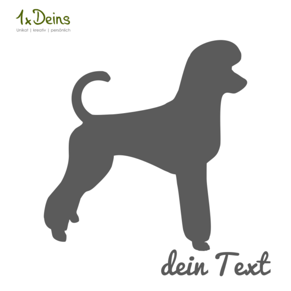 Pudel – Bild 2