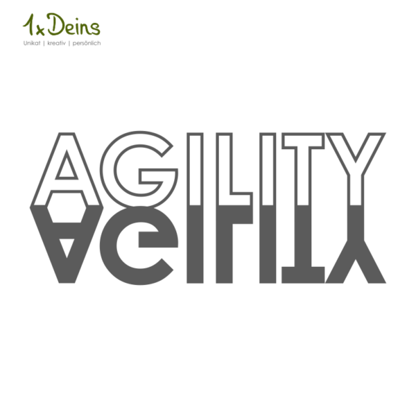 Agility Schatten